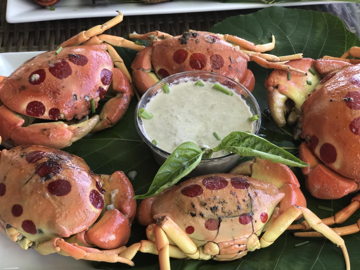 Lalomanu リティア シニ ビーチ ファールズヴィラ エクステリア 写真